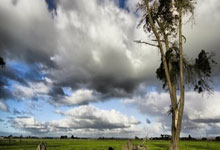 钻石联赛抢七大战爆出冷门！广东男篮爆冷上海申花，争冠形势突变(日本男篮爆冷击败芬兰)